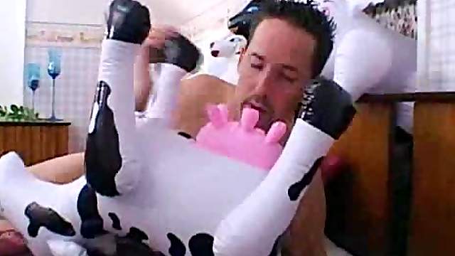 Dude has sex with a blow up cow